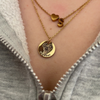 Din Husdjurs Ansikte På Halsband